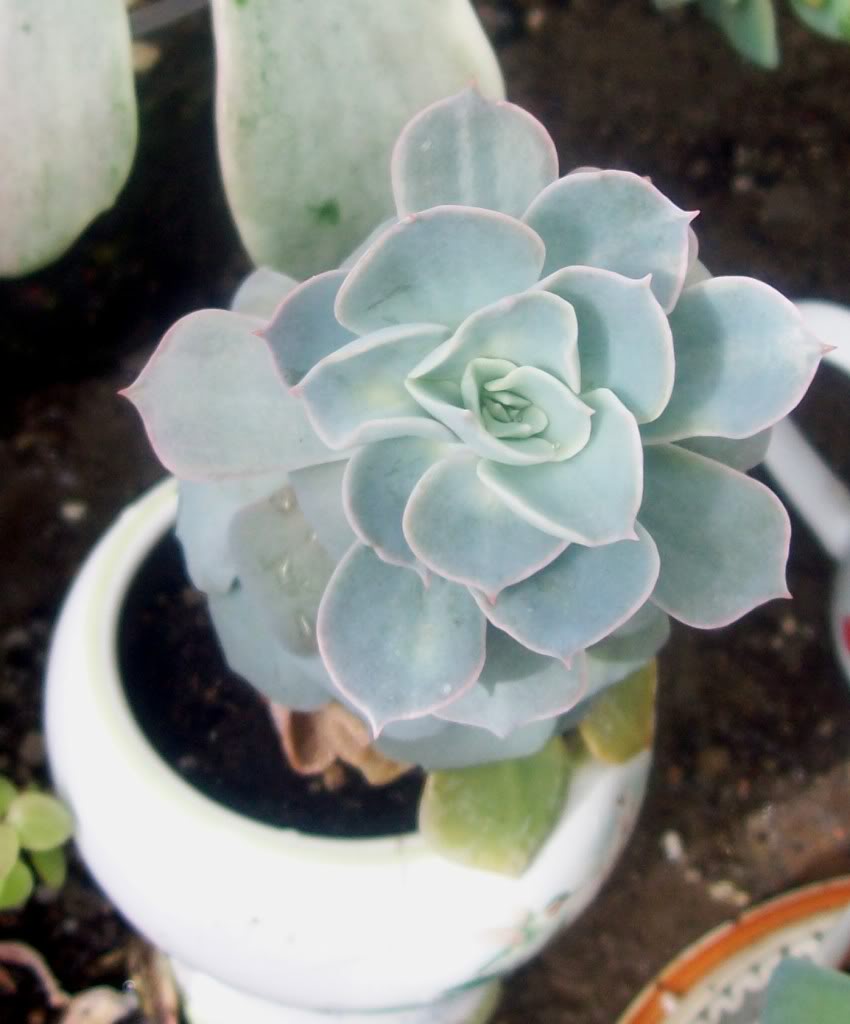 102_8024.jpg