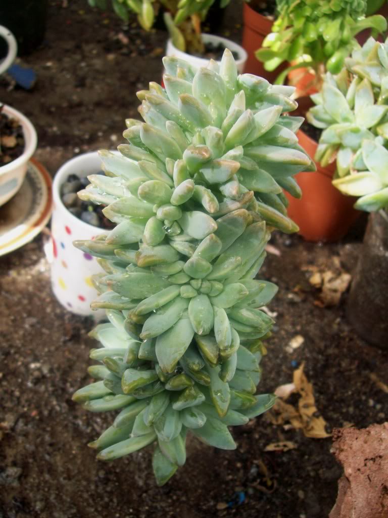 102_8027.jpg