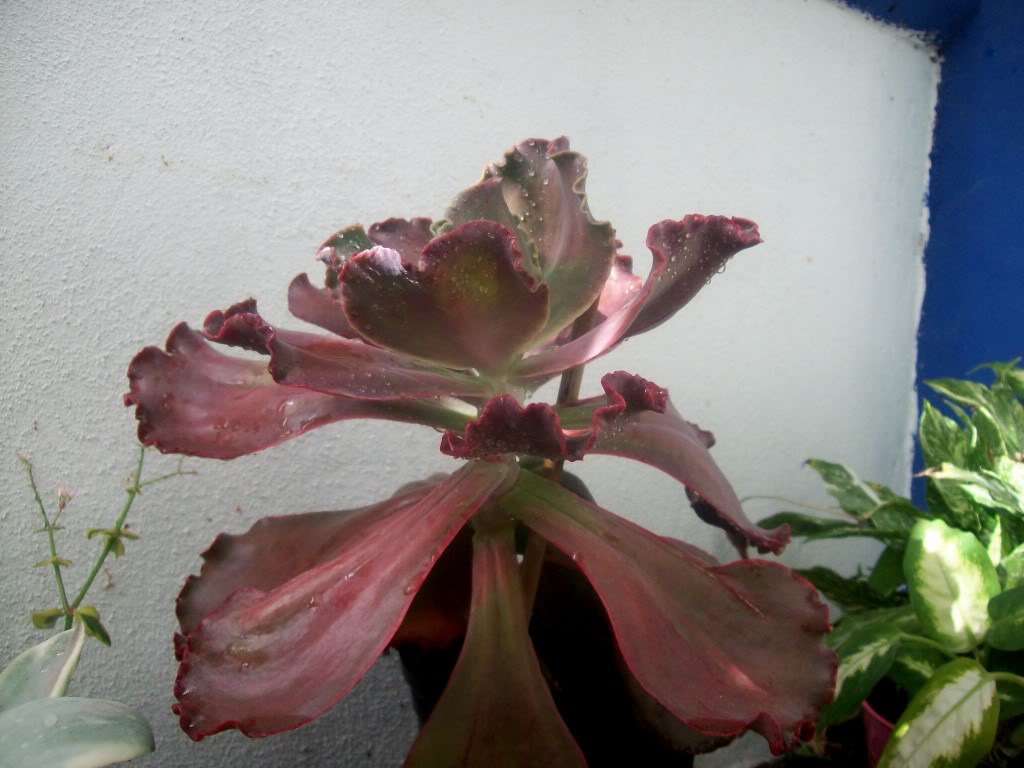 102_8041.jpg