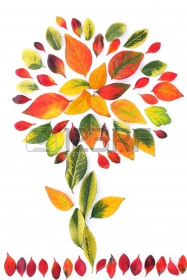 10364020-hermosa-decoracia-n-de-otoa-o-multicolor-hojas-fondo.jpg