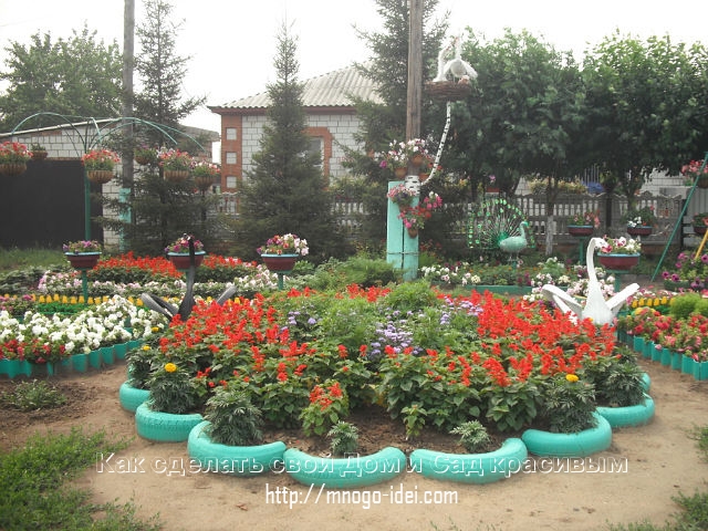 103928153_getImage193.jpg