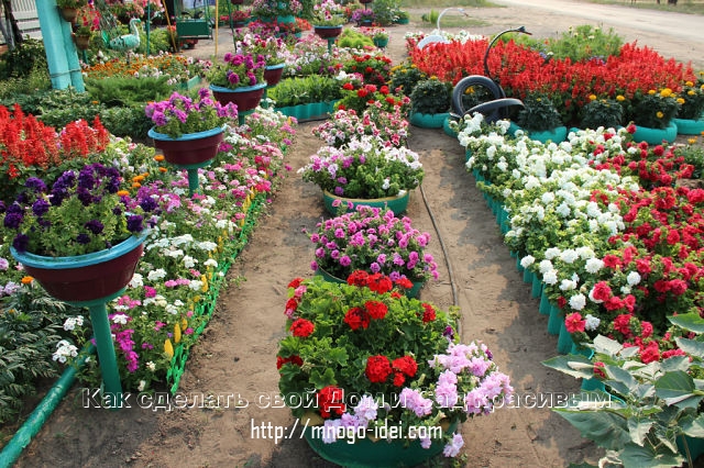 103928154_getImage186.jpg