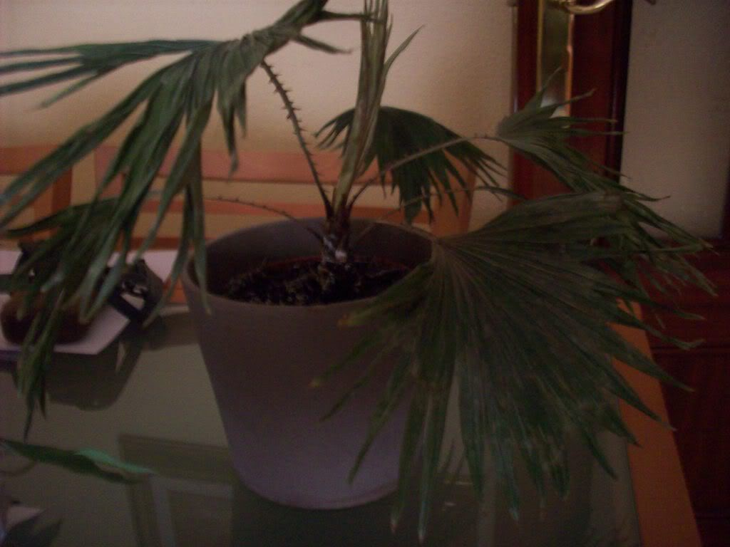 103_0004.jpg