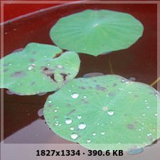 104ca3eac5a287008be3b42ac71f029do.jpg
