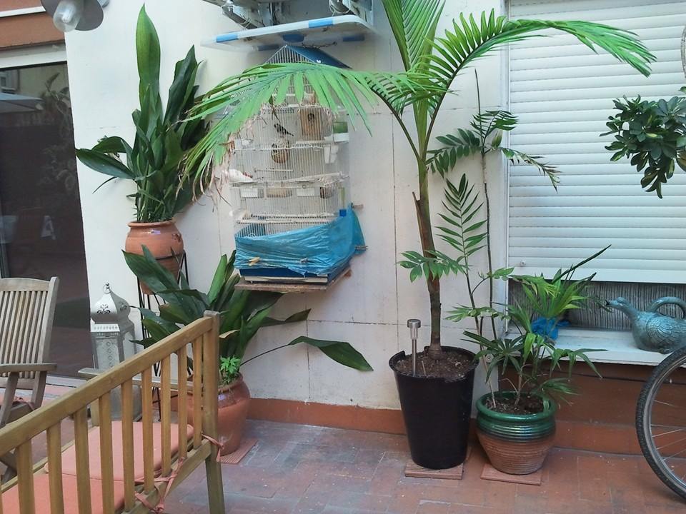 1051n44.jpg
