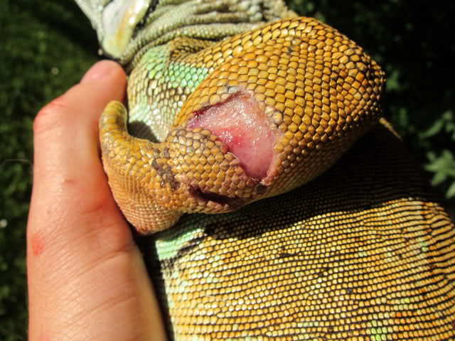 1054n6p.jpg