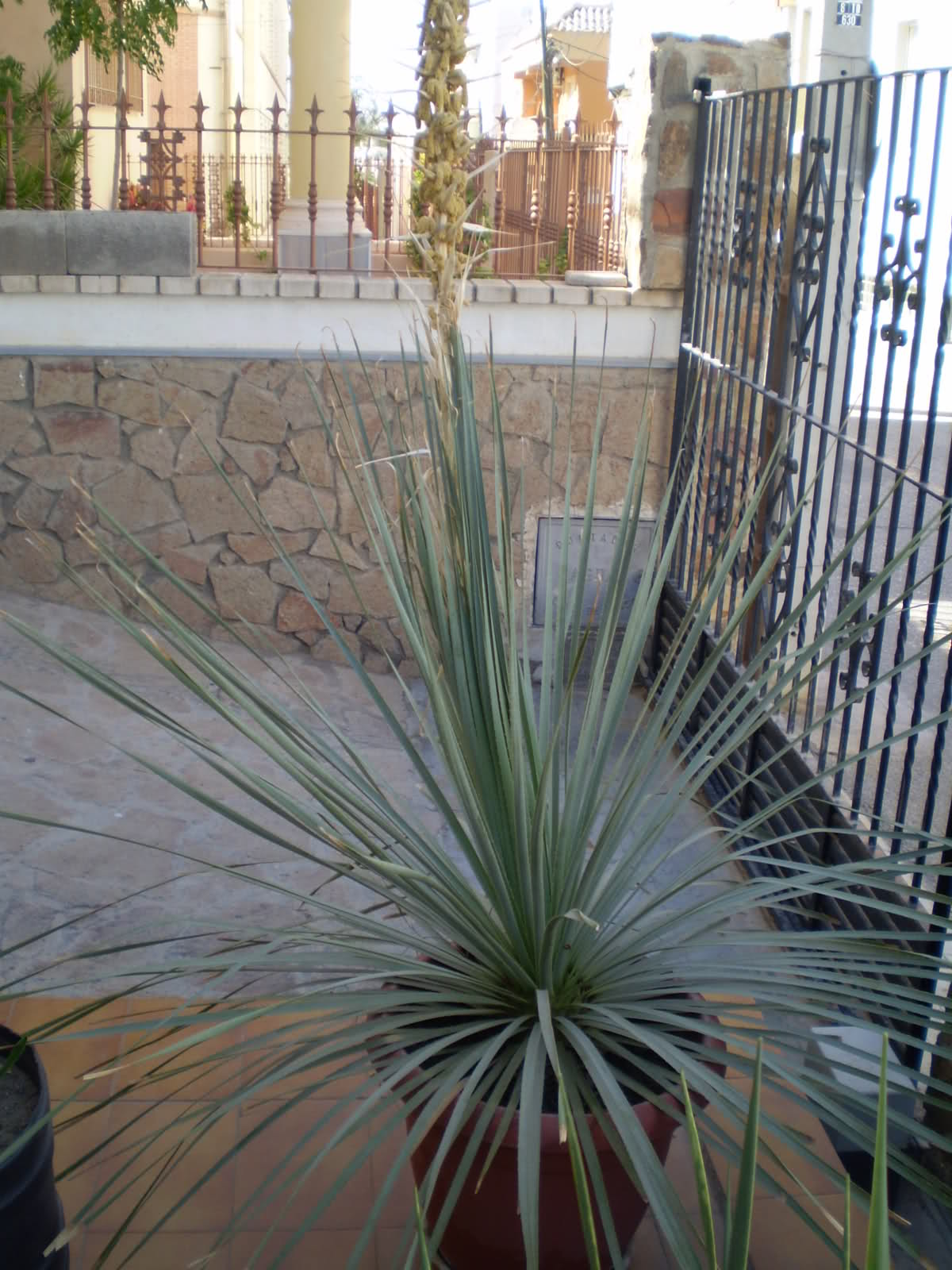 105s660.jpg