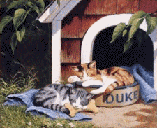 1066905eycvdg31kr.gif