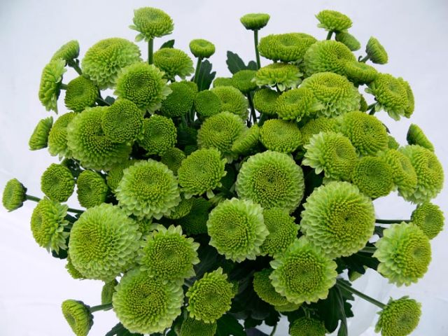 1069-02032014014171.jpg