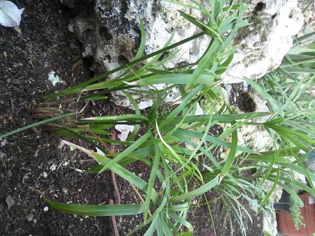 108e060.jpg
