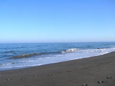 10_enero_07_011.jpg