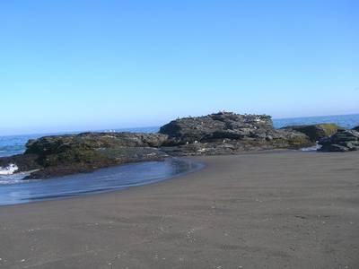 10_enero_07_019.jpg