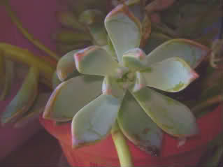 10cm3h4.jpg