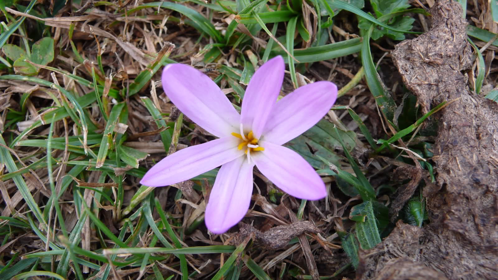 10fp7c8.jpg