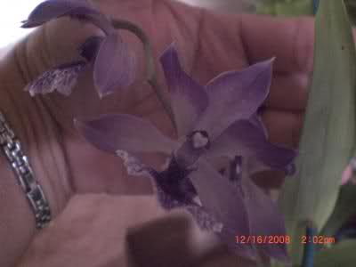 10ojhw6.jpg