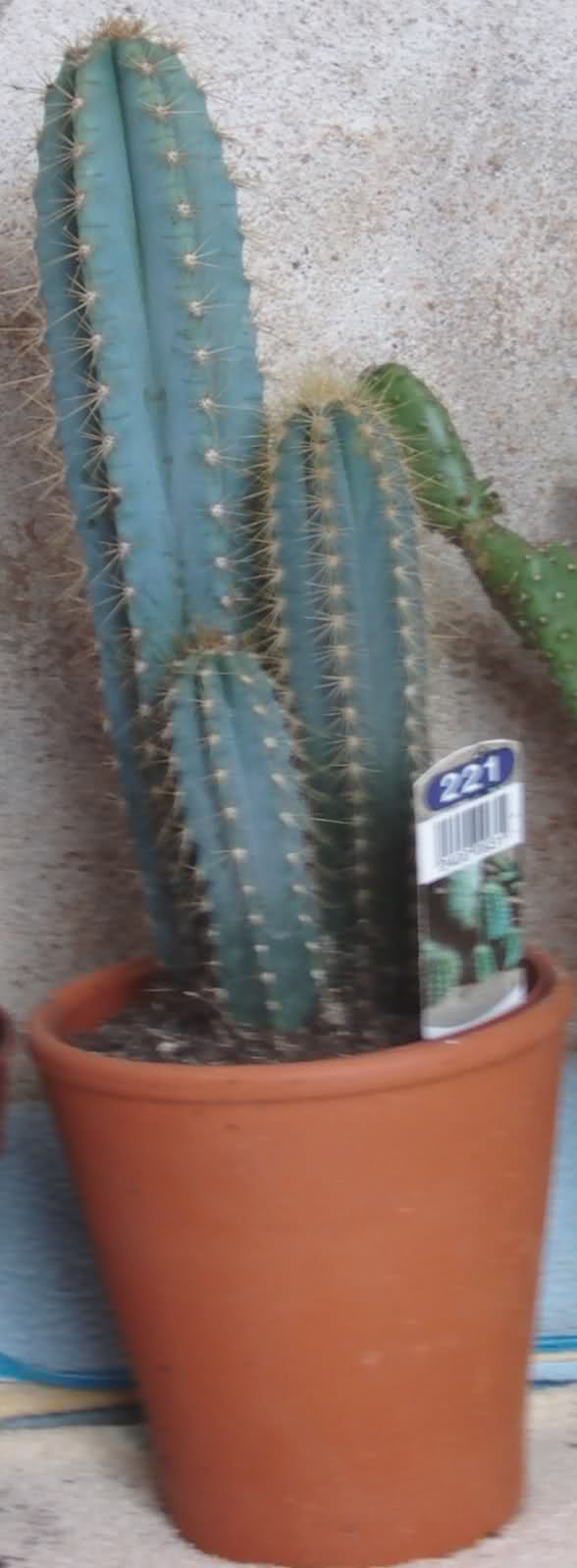 10p3okp.jpg
