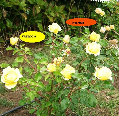 11%20abril%2006%20017.jpg