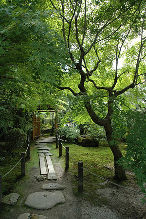 11-jardin-kyoto.jpg