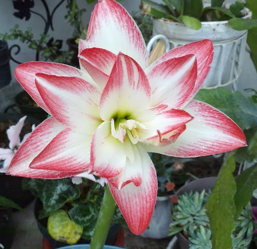 11022012613.jpg