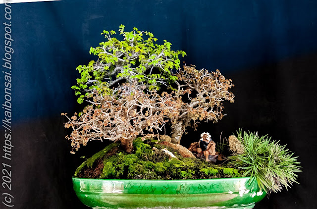 11022021-PENJING%2BOLMOS%2B007-2b.jpg