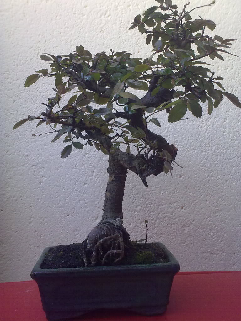 11032010408.jpg