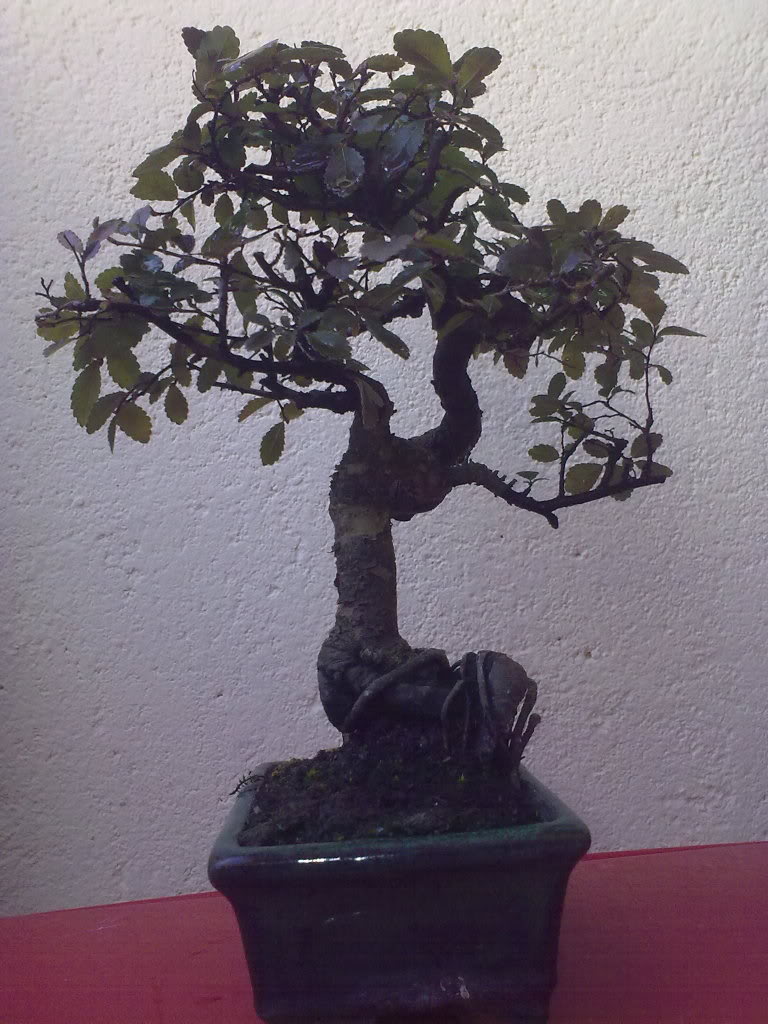 11032010410.jpg
