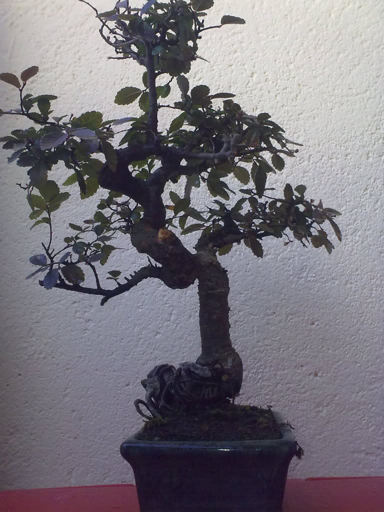 11032010412.jpg