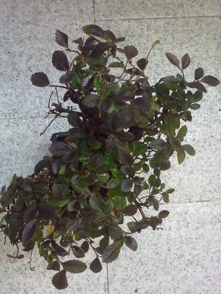 11032010413.jpg