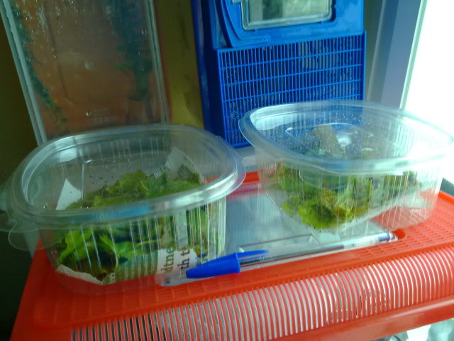 110320111328.jpg