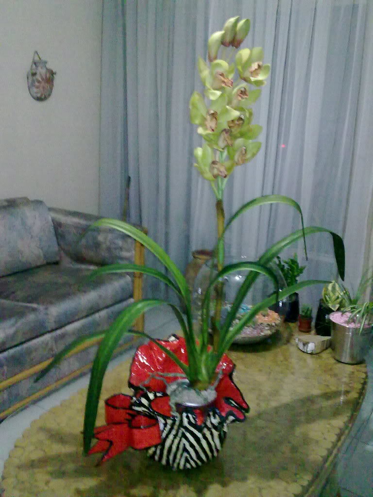 110320117118.jpg