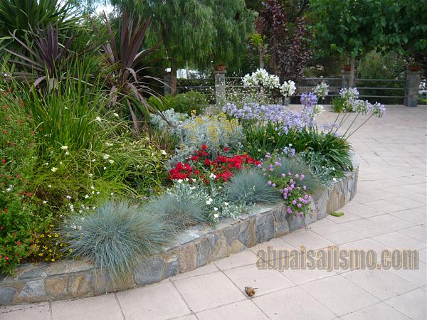 11042d1280582893t-remodelacion-de-jardin-bajo-pinos-p1050134.jpg