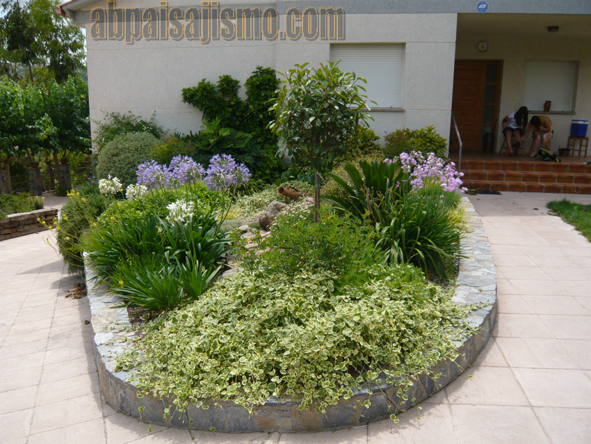 11044d1280583863-remodelacion-de-jardin-bajo-pinos-p1050128.jpg
