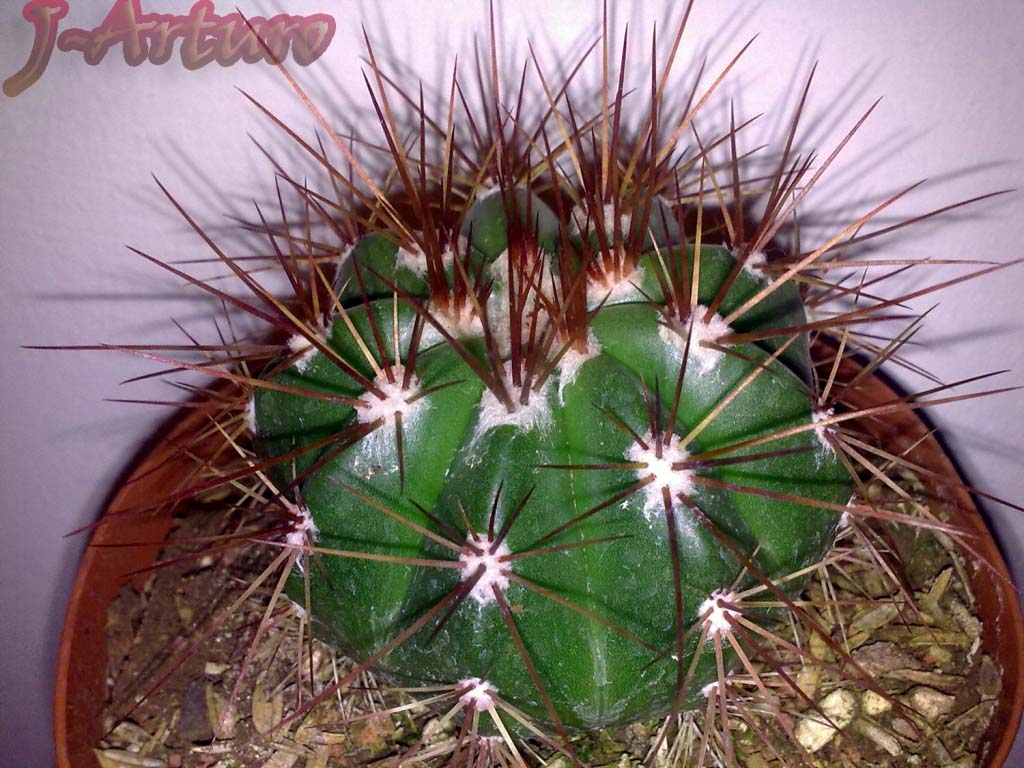 11052010059.jpg