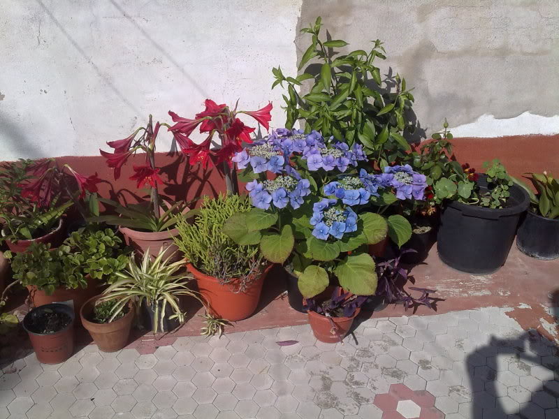 11052010128.jpg