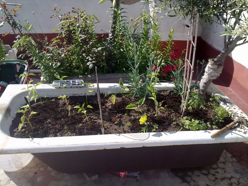 11052010132.jpg
