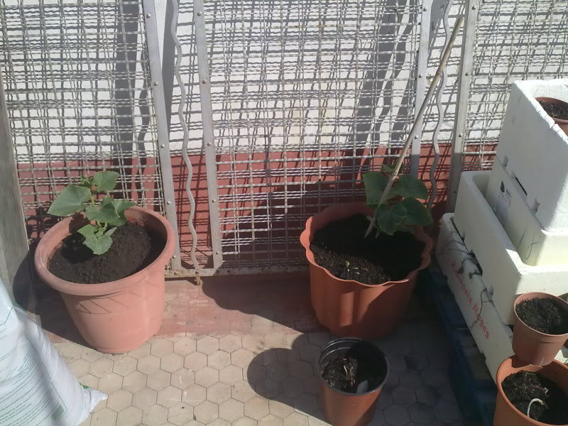 11052010135.jpg