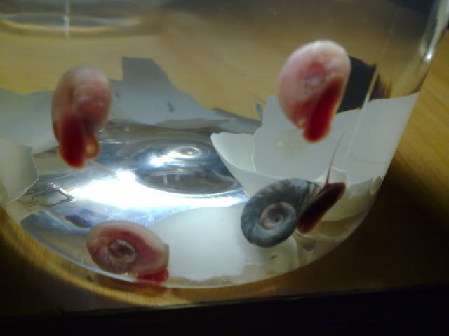 11062010324.jpg