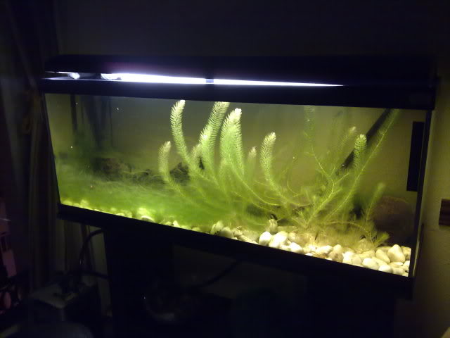 110620111668.jpg