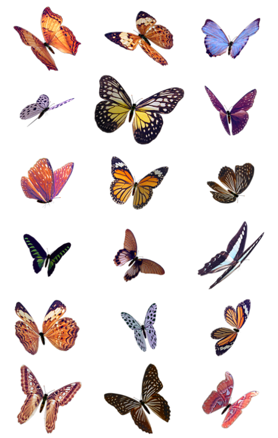 110dl49.png