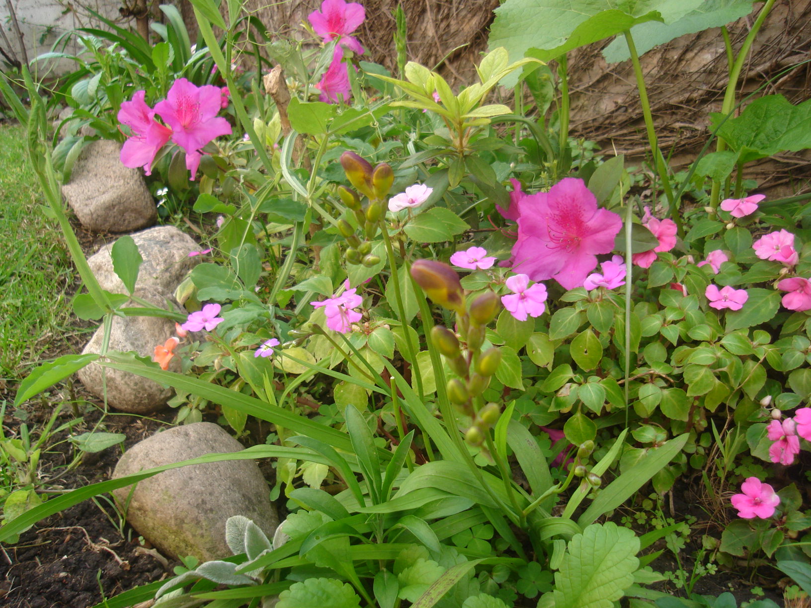 1111575dsc00752.jpg