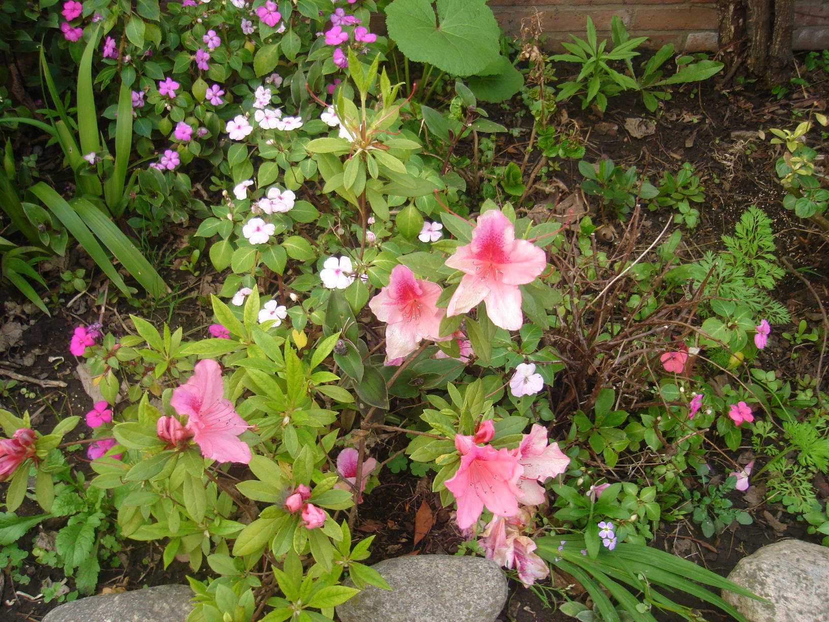 1111599dsc00757.jpg