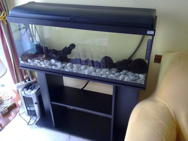 11122010838.jpg