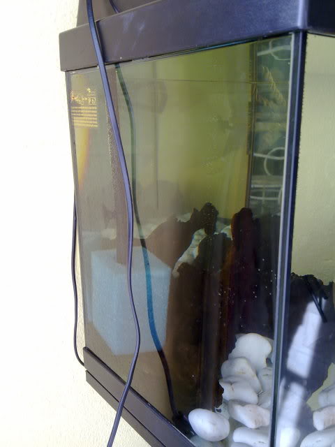 11122010842.jpg