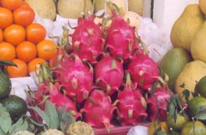 111_fruit_dragon_etalage_reduc_p45h.jpg
