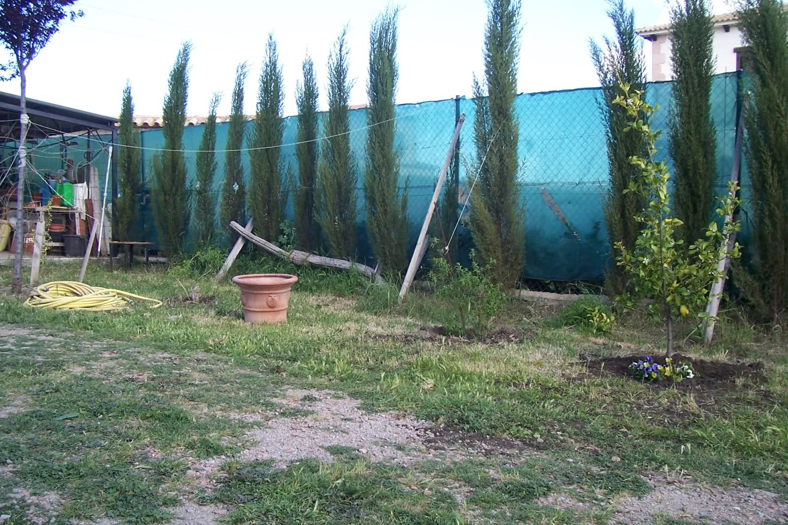 111mek2.jpg