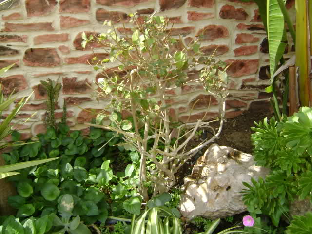 1128y68.jpg
