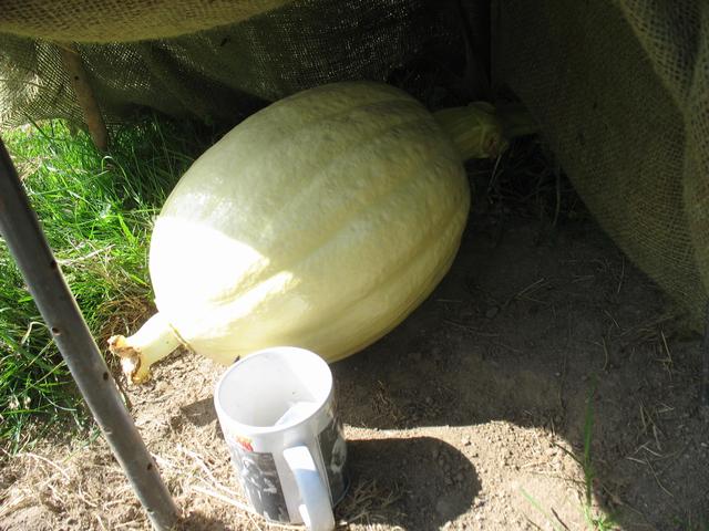 113005.jpg