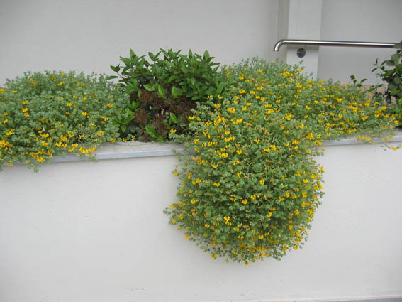 114-1403_IMG.jpg
