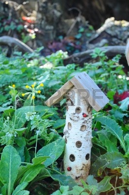 11409835-una-casa-de-madera-natural-para-las-mariquitas-y-los-insectos-en-una-zona-ajardinada.jpg