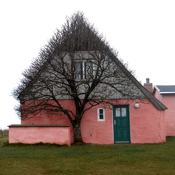 1145.jpg